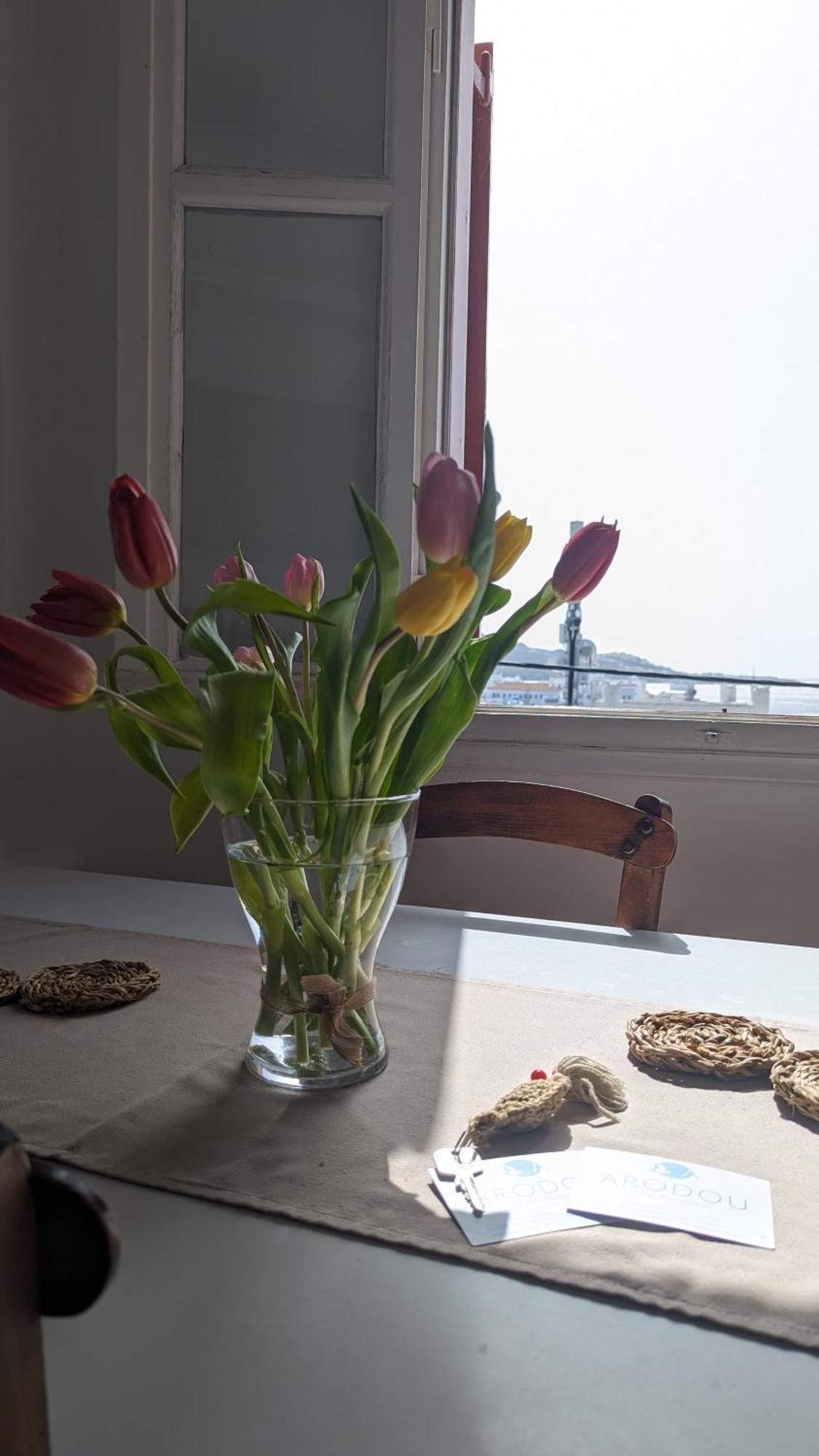 Arodou Studio And Apartment Mykonos Town Экстерьер фото