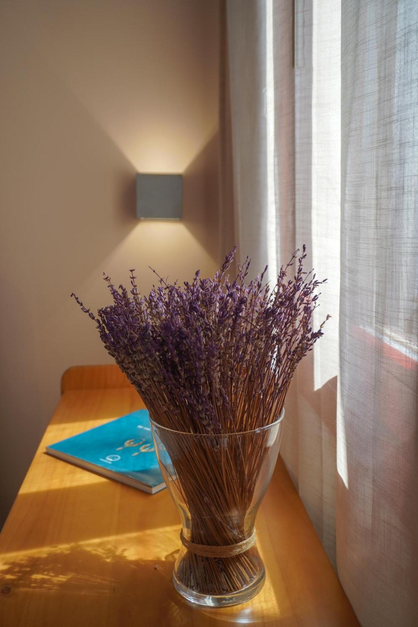 Arodou Studio And Apartment Mykonos Town Экстерьер фото